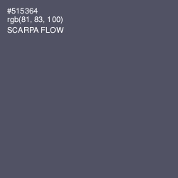 #515364 - Scarpa Flow Color Image
